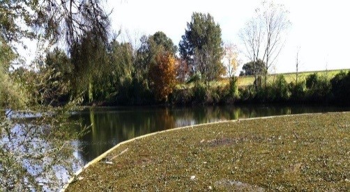 Barrera AIS para especies acuáticas invasoras de Oil Stop para controlar, recolectar y eliminar.